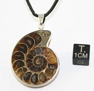 Collier avec 1/2 Ammonite de Madagascar sciée et polie (011**) - Imagen 1 de 10