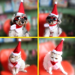 Pets Santa Hat with Scarf Red White Christmas Costume Dress Up for Cat Puppy Dog - Picture 1 of 10