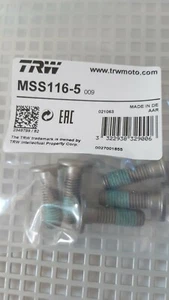 TRW Bremsscheibenschraube BMW F800,F850,S1000, R1200,R1250,K1300,K1600, Vorne, - Bild 1 von 1