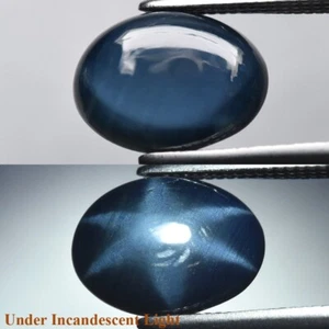 2.45ct 9x6.7mm Oval Cab Deep Blue Sharp 6 Ray Star Sapphire Gemstone, Thailand - Picture 1 of 6