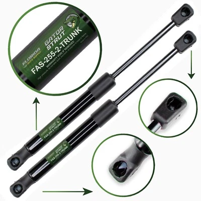 Dos soportes de elevación de maletero FAS-255-2 para Ford Mustang 2005-2014 con alerón trasero Foto 1 de 4