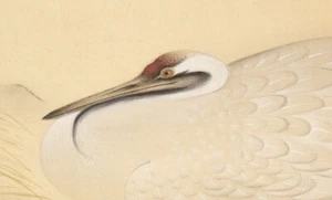 PERGAMINO COLGANTE PINTURA JAPONESA GRULLA PINO De Colección ARTE ANTIGUO Nidación f712 - Imagen 1 de 12