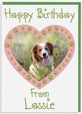Personalised Photo Birthday Card From Your Pet Pets Dog Cat Rabbit (GREEN) - Image 1 of 4