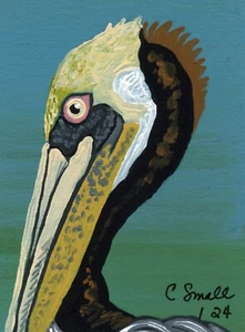 ACEO ATC Pintura Original Pelícano Vida Silvestre Pájaro Art-C. Smale - Imagen 1 de 2