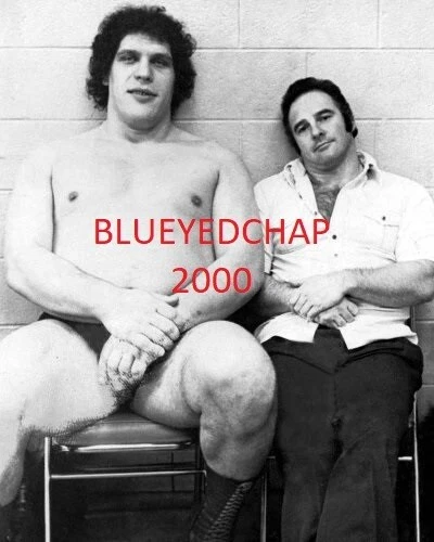 ANDRE EL GIGANTE Y MARK LEWIN LUCHADOR FOTO 8 X 10 LUCHA LIBRE NWA WWWF Foto 1 de 1