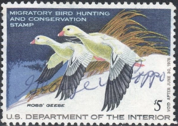 US Scott #RW44 Duck Stamp, used - Image 1 of 1