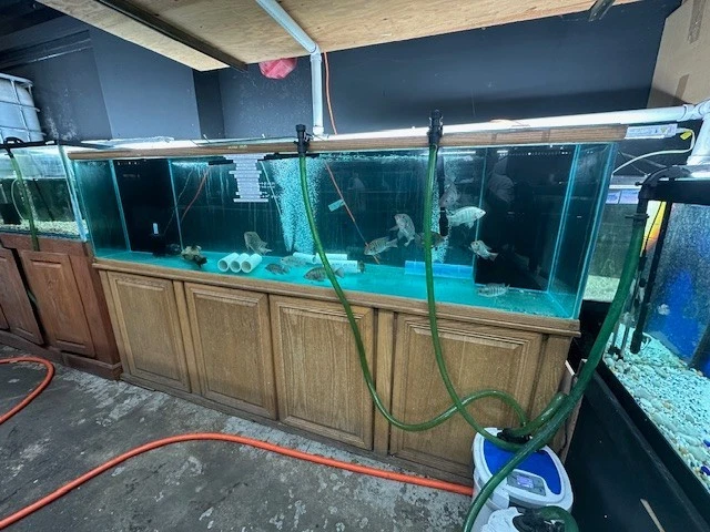 240 GALLONS FISH TANK AQUARIUM, SUMP, PLUMBING AND STAND - Image 1 of 3