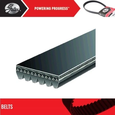 Ременные ворота Serpentine для зарядного устройства Dodge V8-6,2 л 2018 года - Изображение 1 из 4