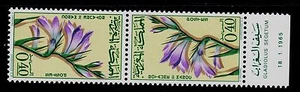 MOROCCO SCOTT# 116 MNH  FLOWER TOPICAL  TETE-BECHE PAIR - Picture 1 of 1