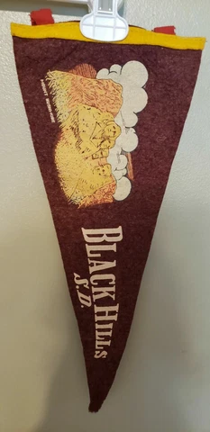 BLACK HILLS SOUTH DAKOTA 50'S? WOOL VINTAGE RETRO PENNANT WITH HOLDER Cover