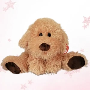 ⭐️ CALHOUN ⭐️  2005 TY Classic Collection - MWMT'S - Picture 1 of 6