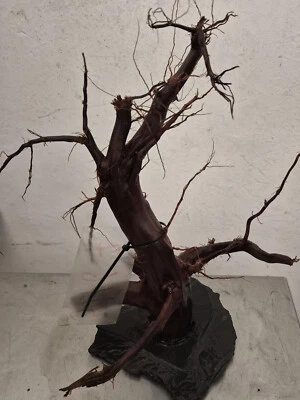 Garnelenbäumchen filigran auf Schieferplatte,vorgewässert Premium # 3467 - Bild 1 von 2