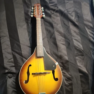 Savannah SO-SA090-TSN Mandolin 8 string - Image 1 of 4
