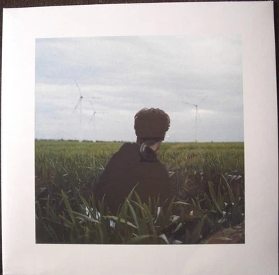 Hotel Rimini - Gefährdete Arten Vinyl, LP, Album Schallplatte - Bild 1 von 2