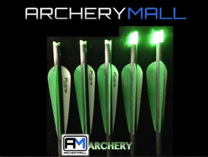 6 VICTORY ARROWS /2 GREEN LIGHTED NOCKS FOR CROSSBOW 22" HALF MOON - V6 SPORT - Picture 1 of 4