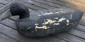 toller Grant Van Loan handgeschnitzter Holzköder Holzente signiert 15" - Bild 1 von 10