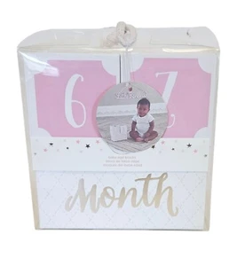 Baby Aspen My First Milestone Princess Age Blocks Baby Picture Props for Photos - Picture 1 of 4