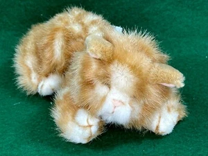 Orange Tabby Katze Pfirsiche Russ Kitty waschbar 6,5" L x 3,5" T superweich klein - Bild 1 von 10