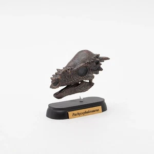 Mini figura calavera Pachycephalosaurus dinosaurio mini modelo favorito - Imagen 1 de 8
