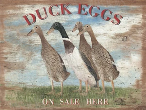 Duck Eggs Metal Sign FREE SHIPPING Country Home Decor - Picture 1 of 1