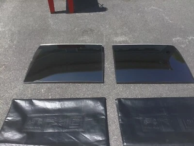 GM Buick T-Top vidrio izquierda/derecha con bolsas Chevrolet Buick Olds 1978-1979 Foto 1 de 4