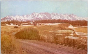 MATANUSKA VALLEY Alaska AK - Postcard - Picture 1 of 2