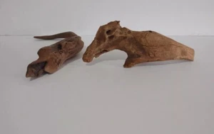 Treibholz in Form einer Schlange, Treibholz in Form eines Ameisenbessers, seltsames Treibholz  - Bild 1 von 24