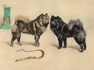 TARJETA DE NOTA DE SALUDOS CHOW CHOW CHOW CHARMING PERRO DOS HERMOSOS PERROS DE PIE - Imagen 1 de 1