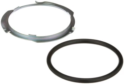 Anillo de bloqueo del tanque de combustible Delphi para Pontiac Phoenix 1982-1984 Foto 1 de 4