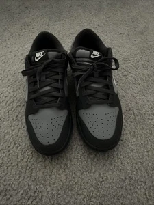 Slightly used  Nike Dunk Low Anthracite Colorway - Picture 1 of 7