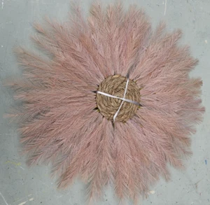 NEXT Botanicals Everlasting Flowers and Plants large feather wreath - Picture 1 of 8