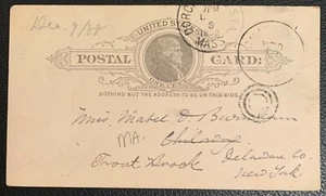1888 UNITED STATES POSTAL CARD UX9 DORCHESTER MA FRONT BROOK DELAWARE CO NY VF - Picture 1 of 2