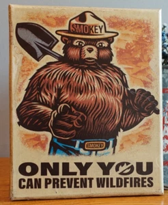 SMOKEY the BEAR - Only you Can Prevent WildFires! - vintage 8x10 Canvas - Picture 1 of 1