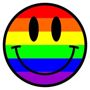 Insegna decalcomania laminata Happy Face 200 mm vinile auto furgone parete casa acida LGBT arcobaleno - Foto 1 di 10