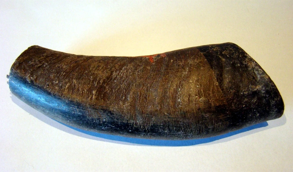 Büffelhornstück 12-15cm - Imagen 1 de 1