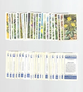 ZIGARETTE/HANDEL/KARTEN. Brooke Bond. Wildblumen 2. (Komplettsatz 50 Stück). (1959). - Bild 1 von 1