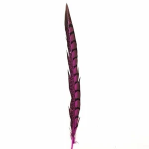 20" to 30" Lady Amherst Pheasant Side Tail Feather - Hot Pink - Picture 1 of 3