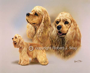 Estampado multiestudio American Cocker Spaniel de Robert May - Imagen 1 de 1