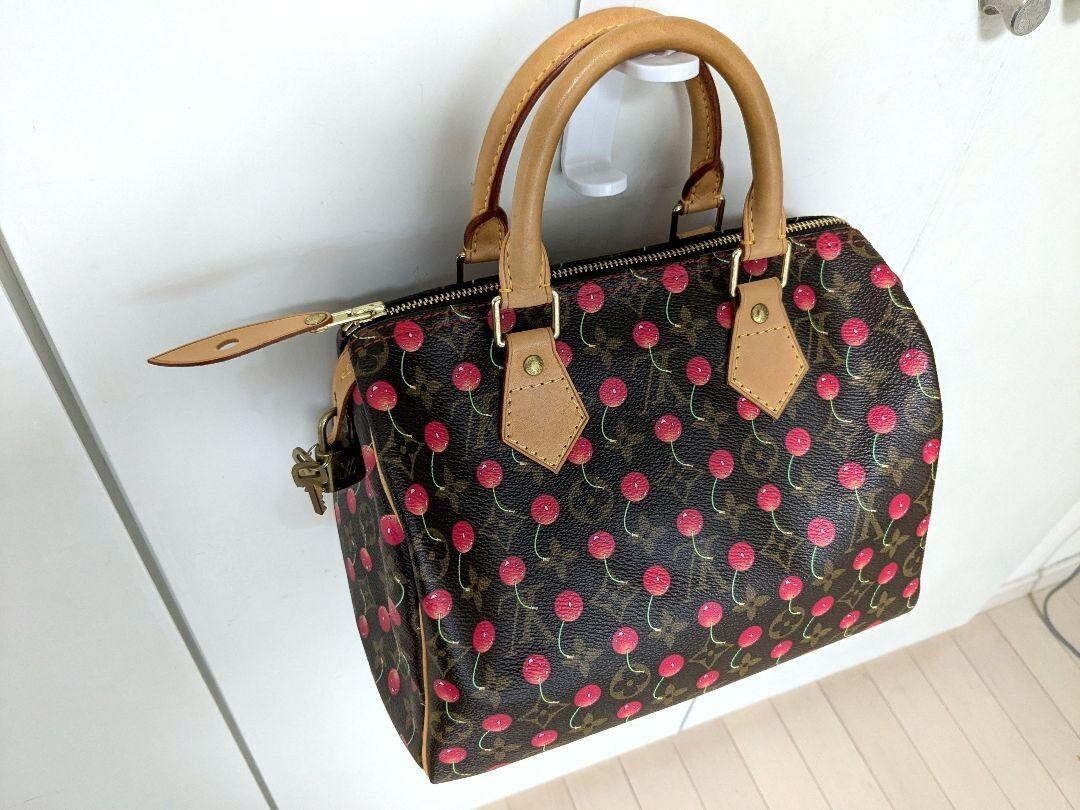 Louis Vuitton Speedy Zip Satchel/Top Handle Bag Handbags Louis Vuitton Speedy Zip Satchel/Top Handle Bag Handbags