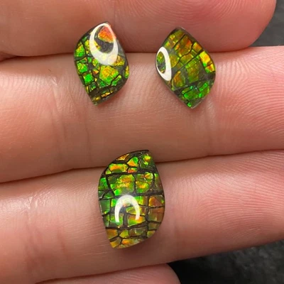 9,4ct Ammolith Trio aus Alberta Kanada - Grüngold rotes Feuer, Anhänger & Ohrring - Bild 1 von 3