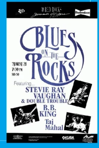 Stevie Ray Vaughan B.B. KING Taj Mahal CONCERT POSTER Blues ROCK soul R&B GUITAR - Picture 1 of 13