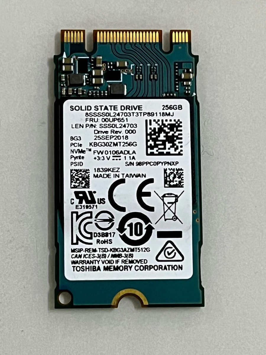 Toshiba 256 GB M.2 Interface Solid State Drives for sale | eBay