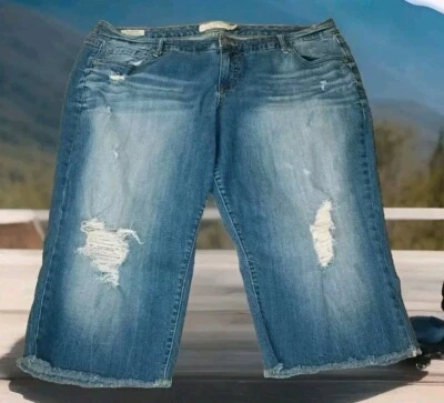 Torrid Boyfriend Bermuda Jean Shorts Woman Plus 20 Distressed Blue Stretch Denim - Image 1 of 4