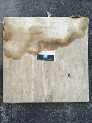 Molduras laterales de carrocería de camioneta Chevy 1976-77 nuevas de stock raras GM 995006 blancas Foto 1 de 4