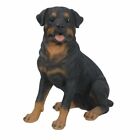 Rottweiler Dog - Collectible Statue Life Size 18.75"L New