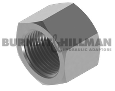 Burnett & Hillman BSP Fixed Female Solid Cap Hydraulic Fitting • 3.69£