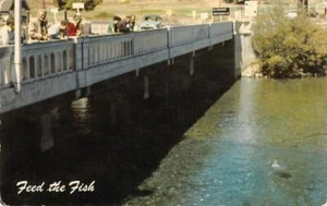 Postal vintage Highway Bridge TAHOE CITY Truckee River LAGO TAHOE trucha década de 1950 - Imagen 1 de 2