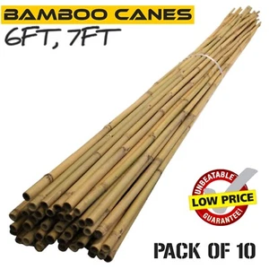 6FT 7FT Bamboo Canes Strong Heavy Duty Stick Plant Support Garden Stake - Picture 1 of 9