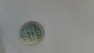 BAUMWOLLSTOFF - QUILT TRÄGERSTOFF - HELLROSE 88" X 2 7/8 YDS  - Bild 1 von 1