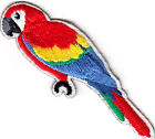 PARROT Iron On Patch Tropical Birds